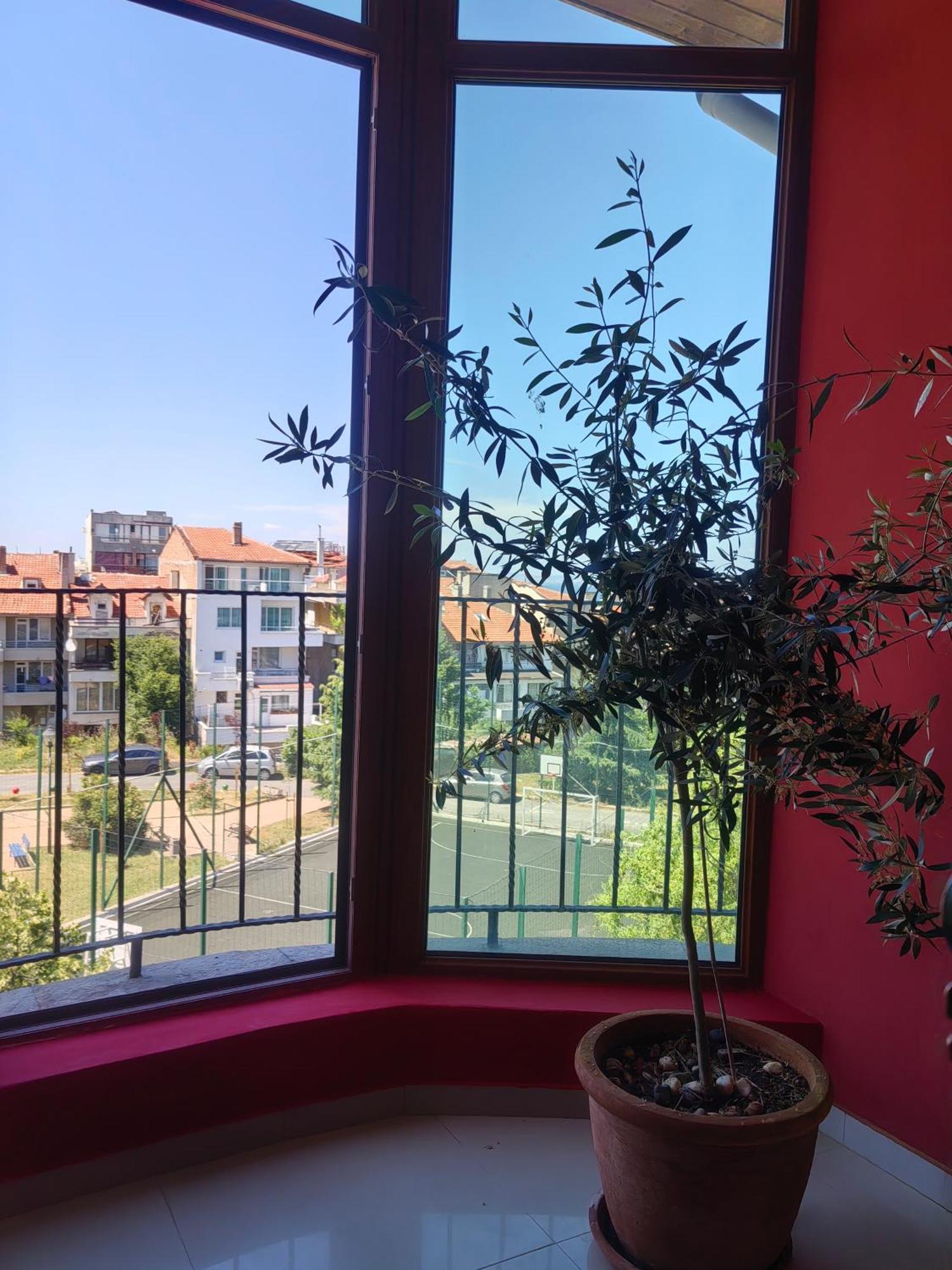 Moreno Sozopol Exterior foto